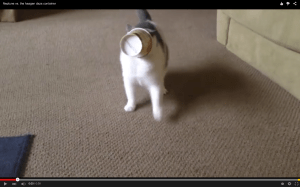 Screen Shot 2015-08-11 at 4.04.25 PM