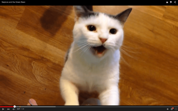 Screen Shot 2015-08-11 at 4.17.43 PM